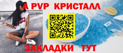 шишки Можга