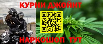 шишки Можга