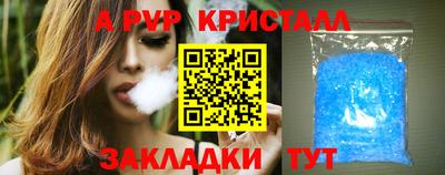 шишки Можга